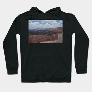 850_6939 Hoodie